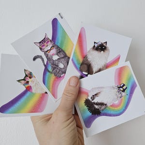 May include: A hand holds four white stickers featuring illustrated cats with rainbow accents. Each cat is posed on a rainbow shape. One cat wears sunglasses, another a bow, and a third a hat. The stickers have text that reads "LOVE", "KINDNESS", and "RESPECT".