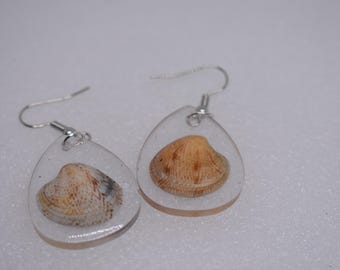 Orecchini a goccia in conchiglia trasparente – Orecchini in resina di vera conchiglia – Gioielli da spiaggia – Fatti a mano in Austria