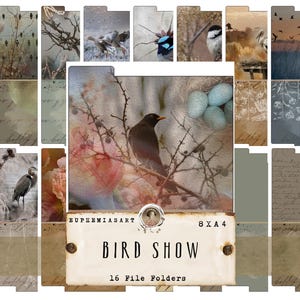 ファイルフォルダー鳥、自然、自然鳥の写真、8 枚、スクラップブッキング用紙、デジタルダウンロード、DIN A4、ジャンクジャーナル用紙、DIY