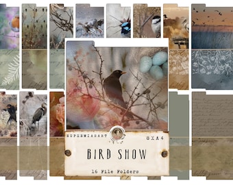 Pasta de arquivo Pássaros, Natureza, Imagens de pássaros da natureza, 8 folhas, Papel para scrapbooking, Download digital, DIN A4, Papel para diário de lixo, Faça você mesmo