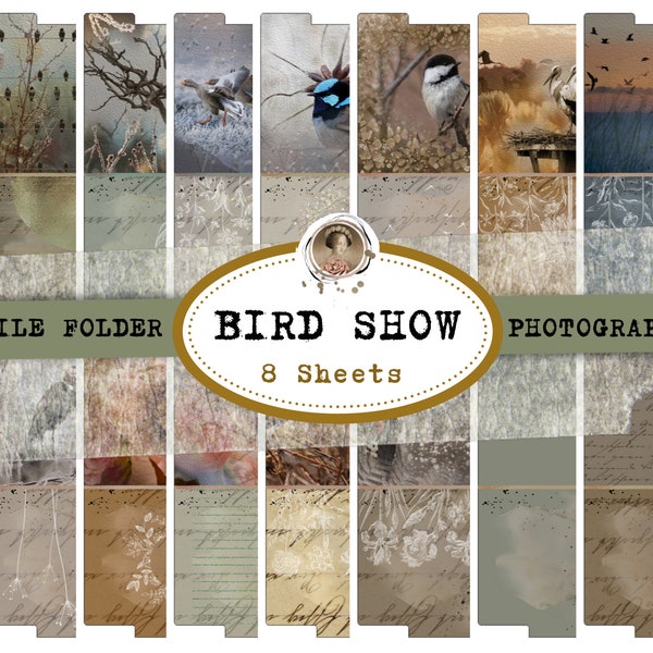 File Folder Birds, Nature, Natur Vogelbilder, 8 Sheets, Scrapbooking Paper, Digitaler Download, DIN A4, Junk Journal Paper, DIY