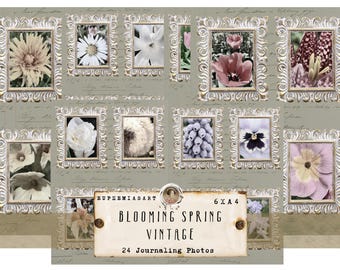 Blooming Spring -Vintage- Fotos instantâneas, cartões de diário, itens efêmeros, download digital, DIN A4