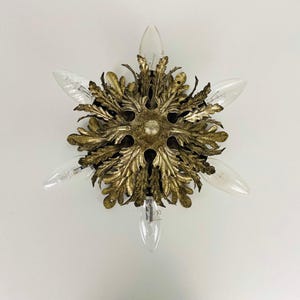 Può includere: Applique da parete in stile vintage con un design dorato a forma di foglie. L'apparecchio ha sei lampadine trasparenti a forma di goccia. L'applique è montata su una parete bianca, creando un contrasto sorprendente.