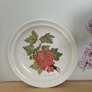 Vintage Pomona Portmeirion 1982 Speiseteller Rote Johannisbeere
