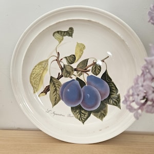 Vintage Pomona Portmeirion 1982 Speiseteller Plum