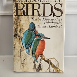 Può includere: Un libro vintage intitolato "Collins British Birds", con testo di John Gooders e dipinti di Terence Lambert. La copertina presenta un'illustrazione dettagliata di due uccelli colorati appollaiati su un ramo, con piume blu, verdi e arancioni.