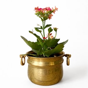 Maceta vintage de latón con interior revestido de cobre, maceta rústica de latón, maceta de estilo antiguo, maceta decorativa de interior.