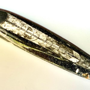 Orthoceras Fossil Stein poliert: Antikes Meeresgeschöpf aus Schwarzem Marmor