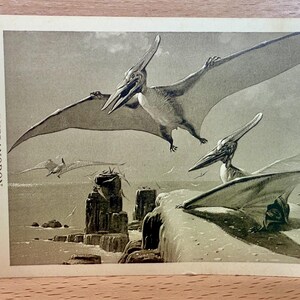 Vintage ongebruikte ansichtkaart dinosaurus, Pteranodon