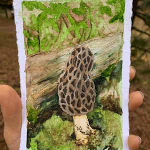 Morel mushroom 4x6 in, watercolor art print