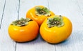 Bare Root FUYU PERSIMMON - 2 Feet tall or more! -