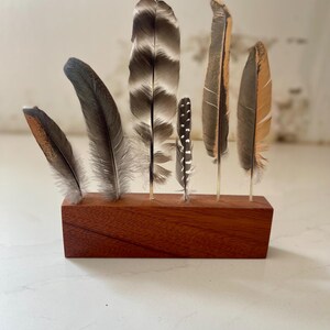 Feather Display Box Natural Feather Displays - Etsy