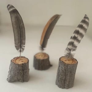 May include: Three decorative feather quill holders. Each feather is set in a small, rustic, wooden base. The feathers are gray, brown, and white with natural patterns. The wooden bases are cut from tree trunks.