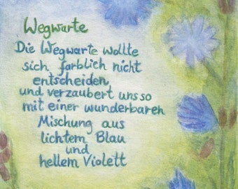 Postcard | chicory | wildflower | Plant Science | Violet Blue | Seasonal table | small gift | Waldorf | hand painted | poetic |
