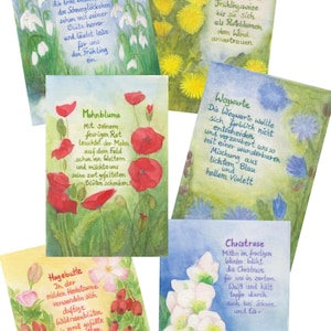 Ensemble de 6 cartes postales | Fleurs sauvages | Cadeau | Cartes d'art | Table de saison | Waldorf | peint à la main | texte poétique | Illustration |