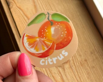 TIENDA LIMITADA / Pegatina de fruta naranja / Dibujada a mano / Estética cottagecore / Resistente al agua y a las manchas / Troquelada / Estética de Pinterest