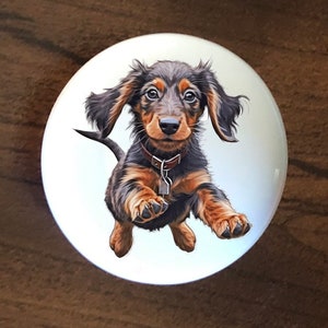 Long Hair Dachshund Puppy Ceramic Knob: Kitchen Cabinet Door Drawer Pull