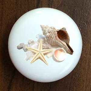 May include: A white ceramic round ornament with a seashell, starfish, and other seashells on a white background.
