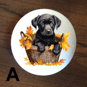 May include: A black Labrador puppy sits in a wicker basket filled with autumn leaves. The puppy is looking at the camera with a sweet expression.
