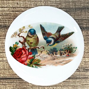 Two Blue Birds home decor ceramic knob kitchen cabinet door or drawer pull white