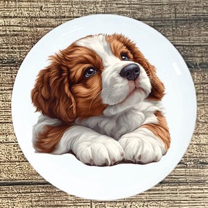Puede incluir: Un plato de cerámica blanco con una ilustración detallada de un cachorro Cavalier King Charles Spaniel. El cachorro tiene pelaje marrón y blanco, una nariz negra y mira hacia arriba. El plato tiene un acabado brillante y es redondo.