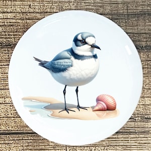 May include: A white ceramic plate featuring a detailed illustration of a small bird with blue and white feathers, standing on a sandy beach next to a pink seashell. The bird has black legs and a black beak.