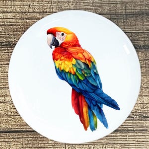 May include: A white, round decorative plate featuring a colorful macaw parrot illustration. The parrot has red, orange, yellow, green, and blue feathers. The plate is set against a wooden background.