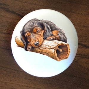 May include: A black and brown dachshund puppy sleeping on a brown log. The puppy has its eyes closed and its paws are curled up.
