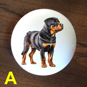 Puede incluir: Un pomo de cerámica blanco con una ilustración de un perro Rottweiler negro y marrón.