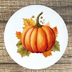Fall Pumpkin home decor ceramic knob kitchen cabinet door or drawer pull white