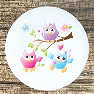 Whimsical Owl Ceramic Knob: Pink, Blue, Purple Home Decor