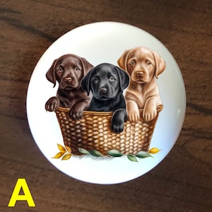 May include: Three Labrador Retriever puppies, one brown, one black, and one light brown, are sitting in a woven wicker basket. The puppies are looking at the camera. The basket is surrounded by green leaves.