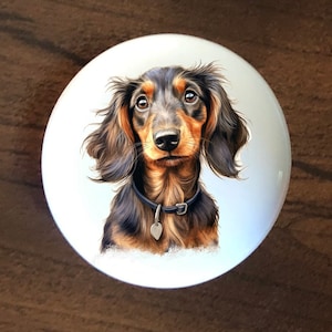 Long Hair Dachshund Puppy Ceramic Knob: Black & Tan Cabinet Hardware