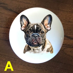 May include: A round, white decorative object featuring a detailed illustration of a French Bulldog's face. The dog has brown and black fur, with a white patch on its forehead. The letter "A" is in yellow.