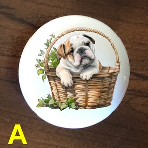May include: A white ceramic knob with a picture of a bulldog puppy sitting in a wicker basket with green leaves.