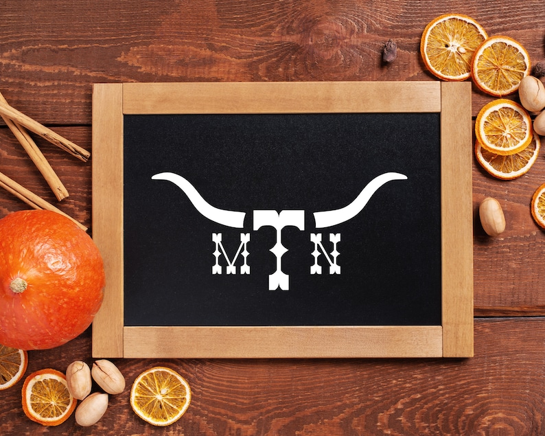 longhorn western store