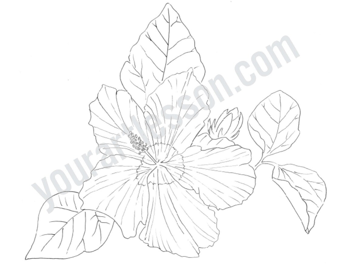 Hibiscus Template - Etsy