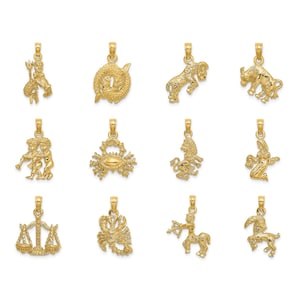 Solid 10K or 14K Yellow Gold 3-D Zodiac Charms