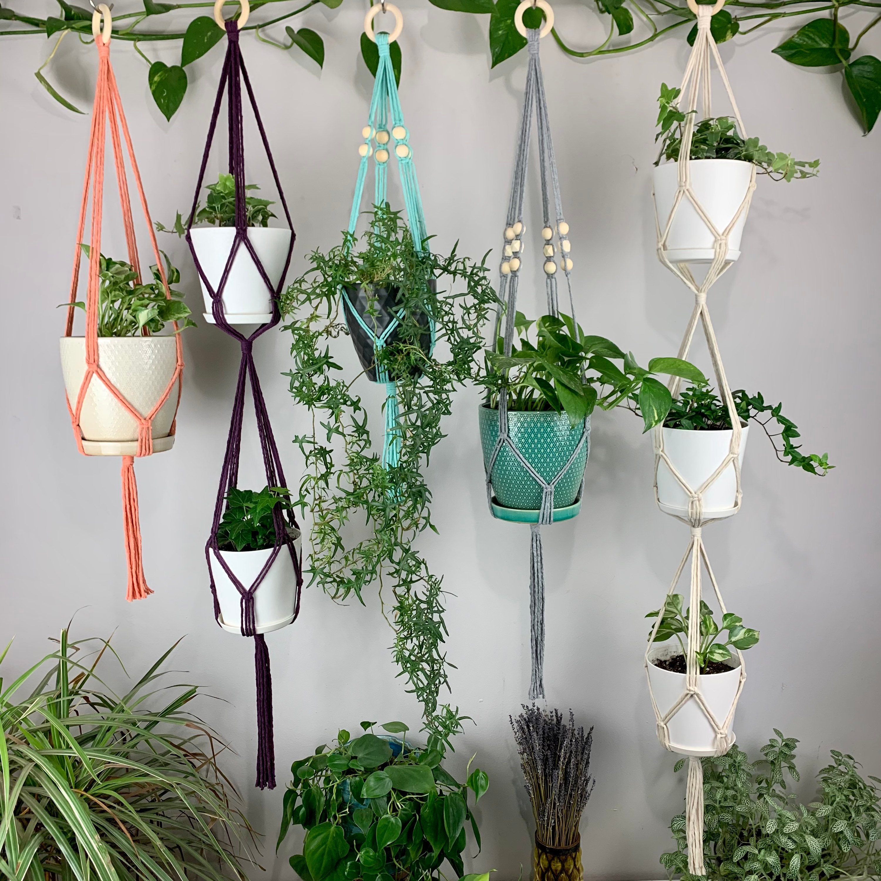 Large Multi-Color Macramé Plant Hanger – Kytras Keepers