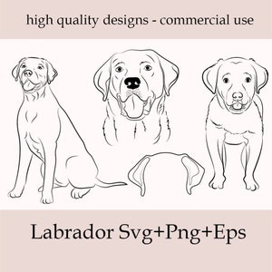 May include: Black and white line art illustration of a Labrador Retriever dog in three different poses: sitting, head and shoulders, and standing. The text "Labrador Svg+Png+Eps" is below the images.