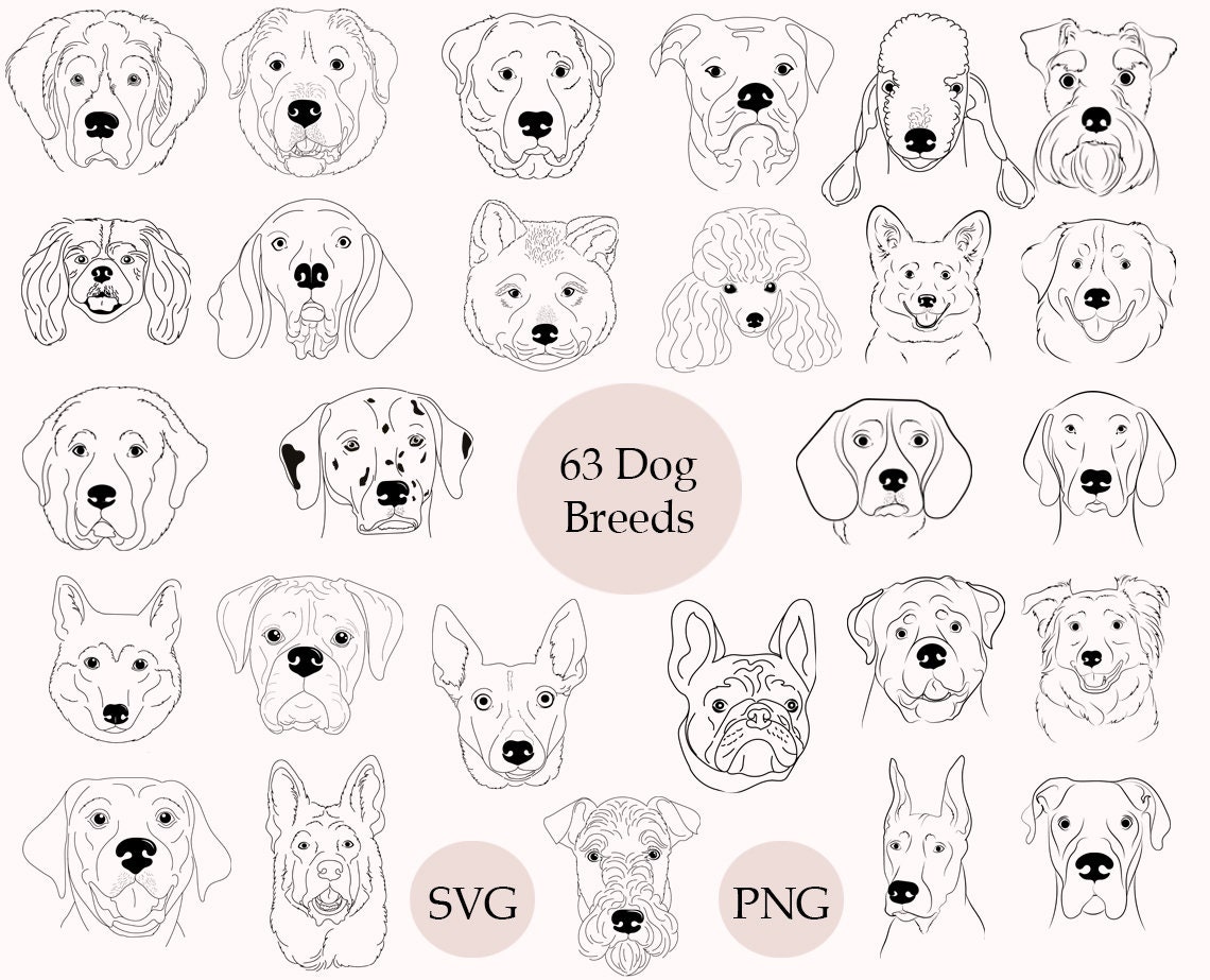 63 Dog Breed Svg Bundle Dog Face Svg Icon Dog Head Svg Etsy Australia
