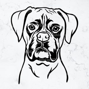Boxer SVG, gluren bokser clipart, boxer hond SVG, silhouet, hondenras, boxer hoofd ontwerp, SVG-bestanden voor de Cricut