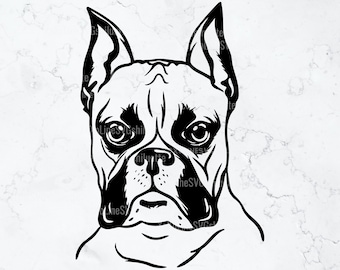 Perro boxer SVG, Boxer Svg, Clipart de cabeza de boxeador, Archivos de boxeador para Cricut, Archivos de corte de boxeador para silueta, Boxer png, Vector de boxeador
