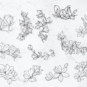 K&ouml;nnte beinhalten: Ein Set mit 13 Schwarzwei&szlig;-Linienzeichnungen von Magnolienbl&uuml;ten. Die Blumen sind in einem einfachen, eleganten Stil gezeichnet und w&auml;ren perfekt f&uuml;r eine Vielzahl von kreativen Projekten.