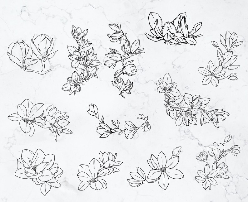 K&ouml;nnte beinhalten: Ein Set mit 13 Schwarzwei&szlig;-Linienzeichnungen von Magnolienbl&uuml;ten. Die Blumen sind in einem einfachen, eleganten Stil gezeichnet und w&auml;ren perfekt f&uuml;r eine Vielzahl von kreativen Projekten.