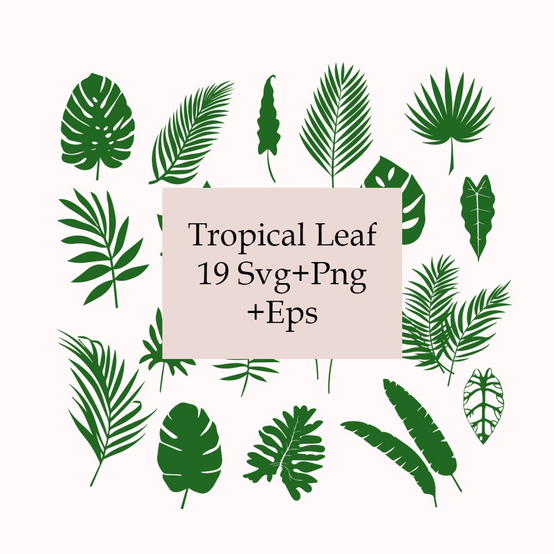 Tropical Leaves Svg Bundle, Tropical Leaf Png, Monstera Svg, Files for ...