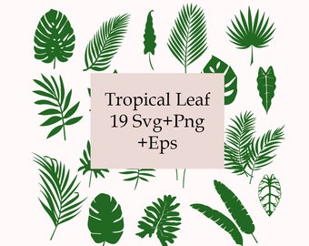 Tropical Leaves Svg Bundle, Tropical Leaf Png, Monstera Svg, Files for cricut, Palm Branch Svg, Tropical Leaf Silhouette, Tropical Party Art