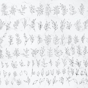 May include: A collection of 60 hand-drawn black and white floral illustrations. The illustrations feature various types of leaves and branches, perfect for adding a touch of nature to your designs.