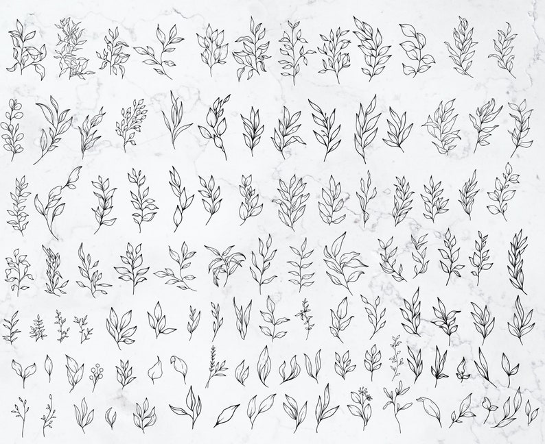 May include: A collection of 60 hand-drawn black and white floral illustrations. The illustrations feature various types of leaves and branches, perfect for adding a touch of nature to your designs.