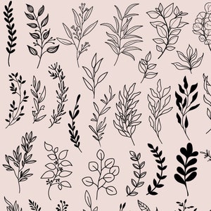 May include: A collection of 30 black and white line drawings of various leafy branches and sprigs. The drawings are simple and elegant, perfect for adding a touch of nature to any design project.